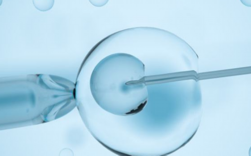 女性的排卵周期是什么？想要闺女是在排卵后还是排卵前？