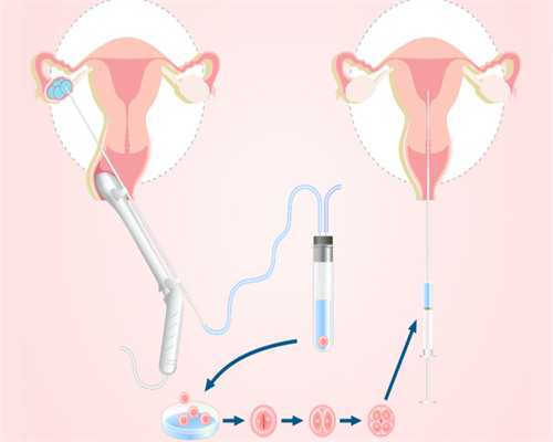 每日育儿知识小分享_育儿书籍哪个牌子好,男性备孕时吃什么能提高精子质量？