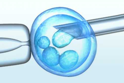 怀孕的小医生_育儿知识每日分享,佛山三代男孩试管婴儿费用多少钱？附佛山试