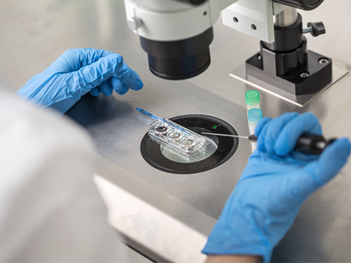 自体干细胞移植费用大概多少钱，三代代怀公司