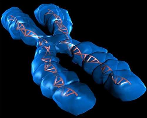 助孕网站,三亚三代供卵代怀助孕生混血婴儿费用多少