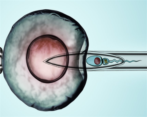 国内三代试管婴儿所需证件一览[中国试管婴儿]，代怀宝宝医院