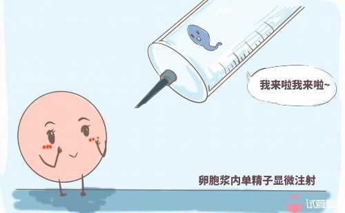 代孕年龄4O岁成功率是多少&供卵供精是合法的吗,安阳姐妹分享哪些方法能提高