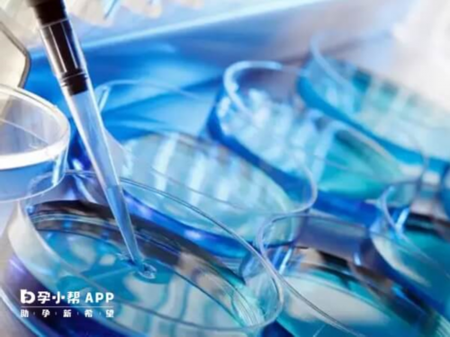 47岁以上试管成功经验&供卵生殖机构,备孕服用叶酸的时候，可能会发生哪些不