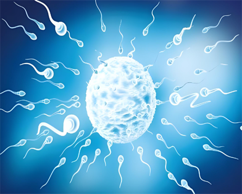 备孕三个月吃叶酸吗_怀孕的症状 一个月,2026年山西省十大不孕不育权威医院排