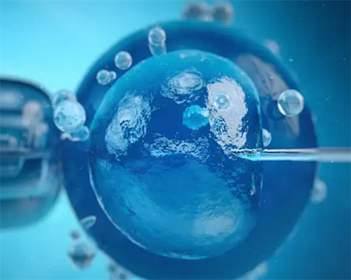 46岁高龄能不能做试管&供卵O4IO,节食减肥真的会导致不孕不育吗？可是我小基数