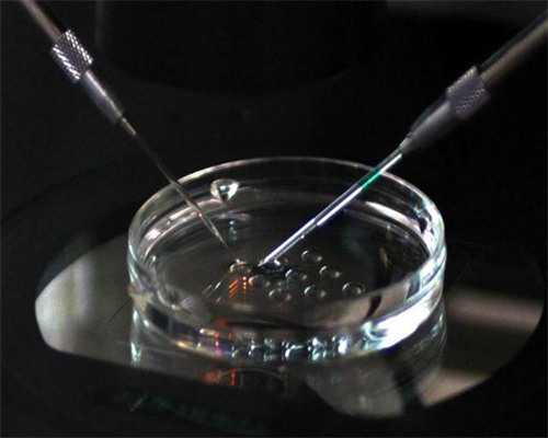 有医院供卵吗,信阳三代供卵代怀助孕捐卵生孩子机构大全