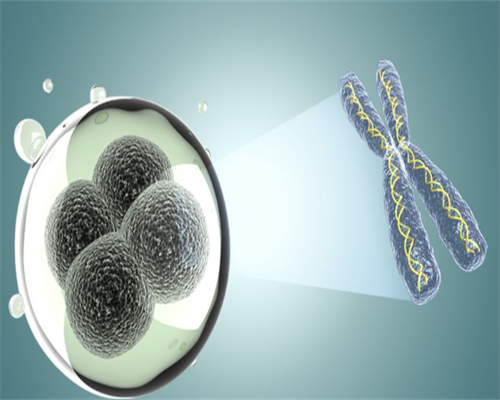 怀孕多久有反应症状_备孕男女吃什么好,凯里做助孕试管婴儿多少钱，哪个医院