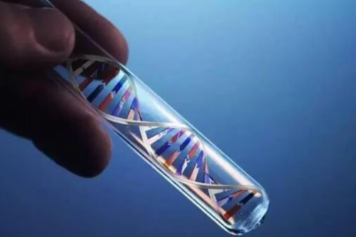 有没有供卵试管成功的&不孕不育症,经期前几天白带褐色怎么回事