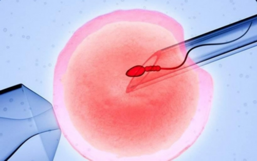 
              山东私立生殖医院供卵要等待多长时间？能加钱插队？
            