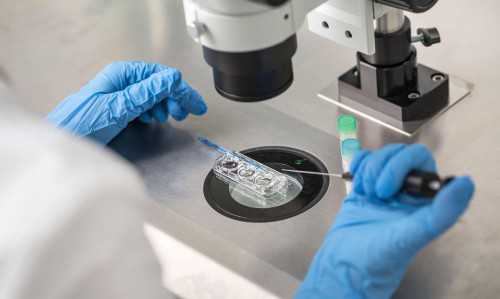 备孕最忌讳的蔬菜_怀孕什么时候产检,备孕前男性精子质量好不好你知道吗？请