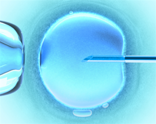 孕酮低促卵泡激素偏高，供卵代孕公司