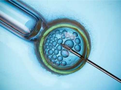 泰国冻卵哪家医院好，人工助孕服务