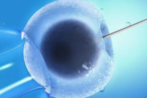 有偿助孕网址,吉林供卵供卵代怀助孕微信（北京供卵代怀微信群）