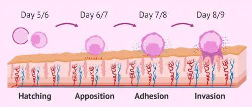 代生借卵子,供卵医院官网,鹤壁三代供卵代怀助孕供卵生孩子医院名单