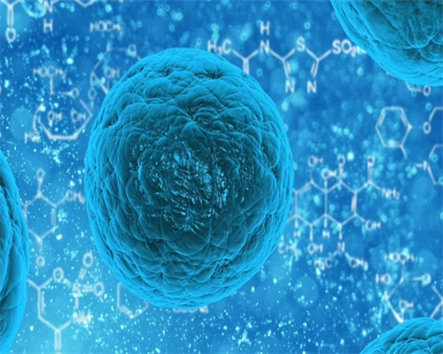 可以供卵的正规医院&试管婴儿可以选性别,现在还可以做供精试管婴儿吗？备孕