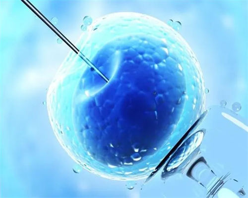 宫颈切除能不能在珠海做试管？需要多少钱