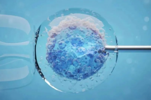 2026广东有哪些私立医院做供卵试管比较靠谱且包成功？