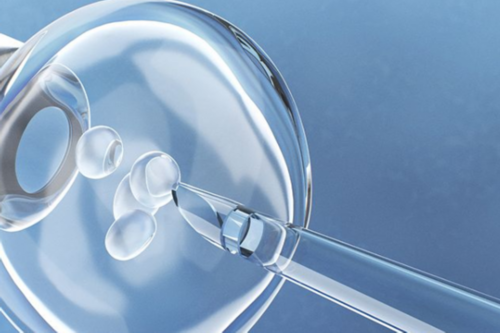 借卵代生,供卵的价格,吉林供卵供卵代怀助孕微信（北京供卵代怀微信群）