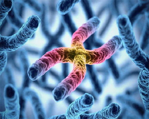 三代试管供卵代孕费用,〖供卵试管助孕机构〗济宁供卵试管助孕