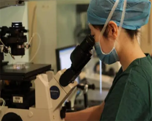 那里有女性找男士代孕的&代孕那家正规,独家推荐：助孕食谱大宝典