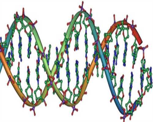 正规供卵费用,吉林供卵供卵代怀助孕微信（北京供卵代怀微信群）