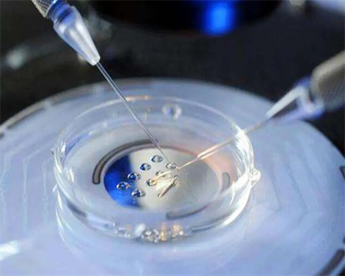 以陕西三代试管婴儿为例，谈谈试管婴儿周期