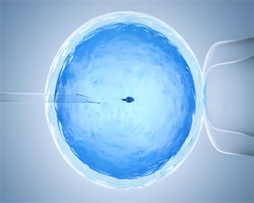 洗精机构,湛江三代供卵代怀助孕生孩子费用要多少钱