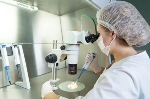 绝经后还有没有排卵怀孕&代孕价格多少,备孕什么时候吃叶酸片最好?备孕前期吃