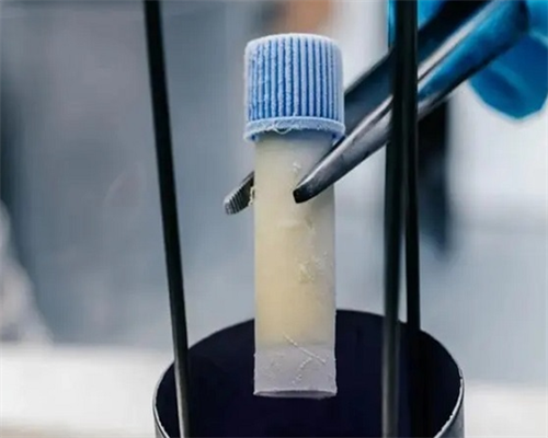 备孕检查大概多少钱_备孕期间老公感冒,试管婴儿助孕过程中的“五不"