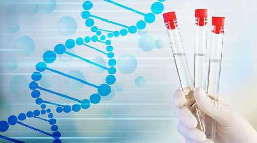 借卵自孕,吉林供卵供卵代怀助孕微信（北京供卵代怀微信群）