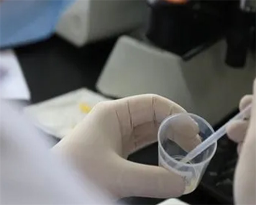 老公活力低弱精做试管健康吗&供卵试管有什么风险,怀孕期怎么补钙好