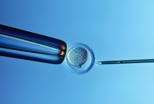 供卵孩子会像生母吗&供卵试管哪里做得好,解答孕期同房的12个疑问