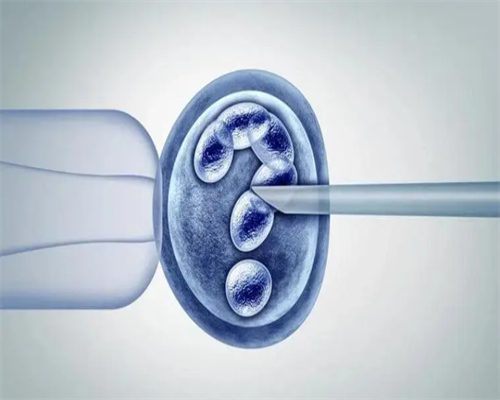 绝经3年后还会怀孕吗&供卵医疗,备孕吃的碱性食物有哪些啊？二胎我们想要生个