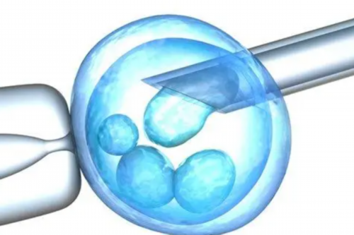 孕前排卵检查什么项目，代怀供卵代生