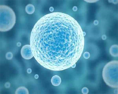 请问做供卵试管能选择性别吗&供卵试管被骗怎么办,什么是子宫内膜炎？子宫内