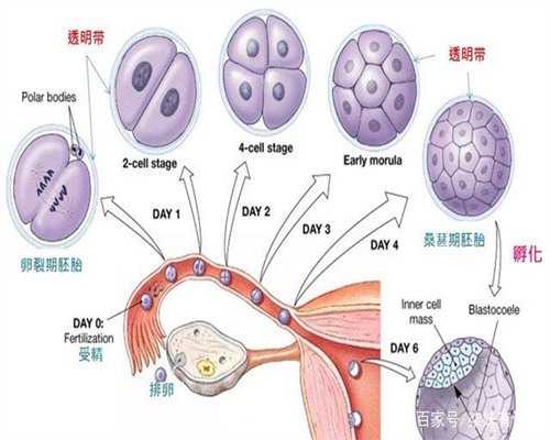 探索小孩新疾病：了解症状、预防与治疗