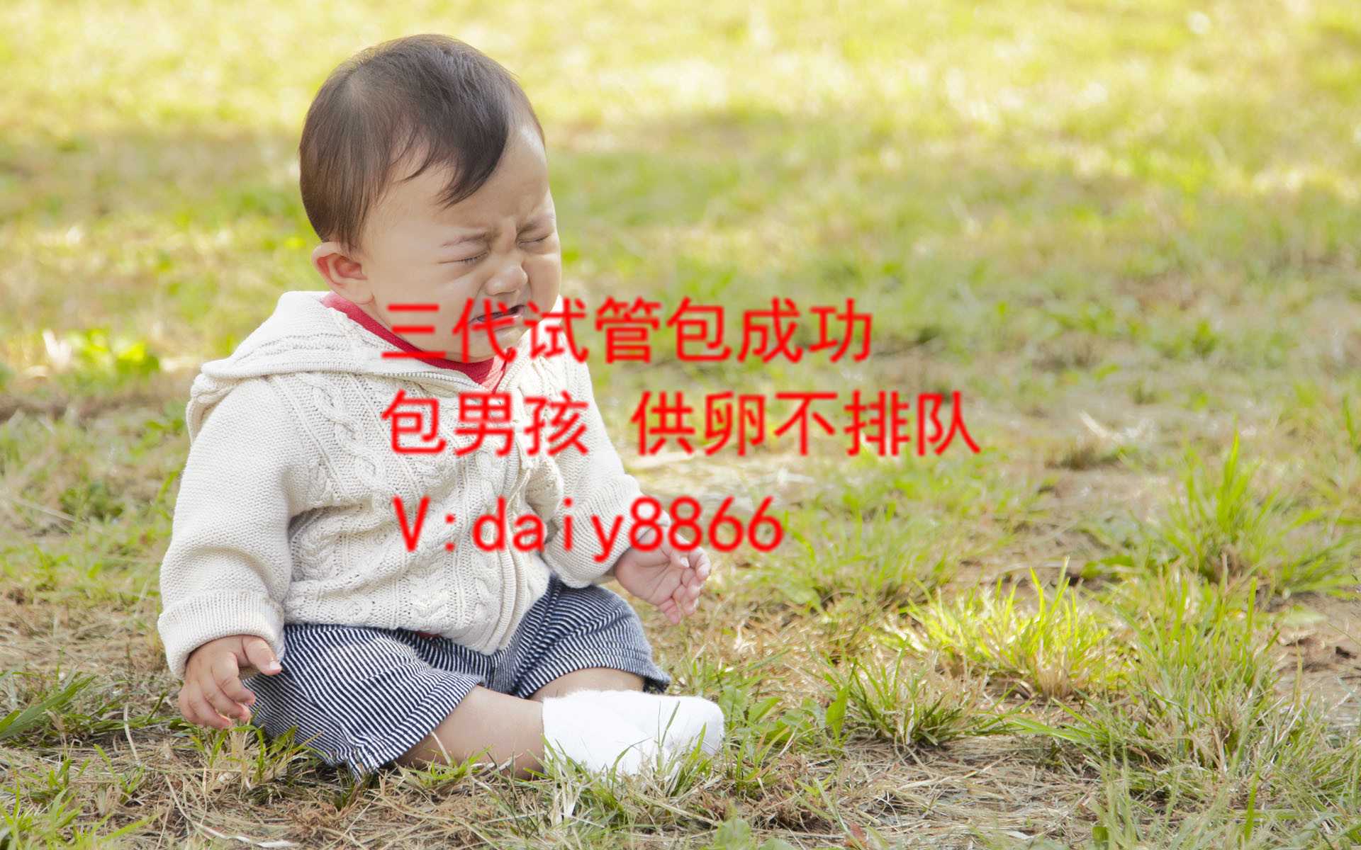 深圳代妈生孩子公司_有那些国家允许代孕_做试管婴儿几率有多高_试管婴儿几率