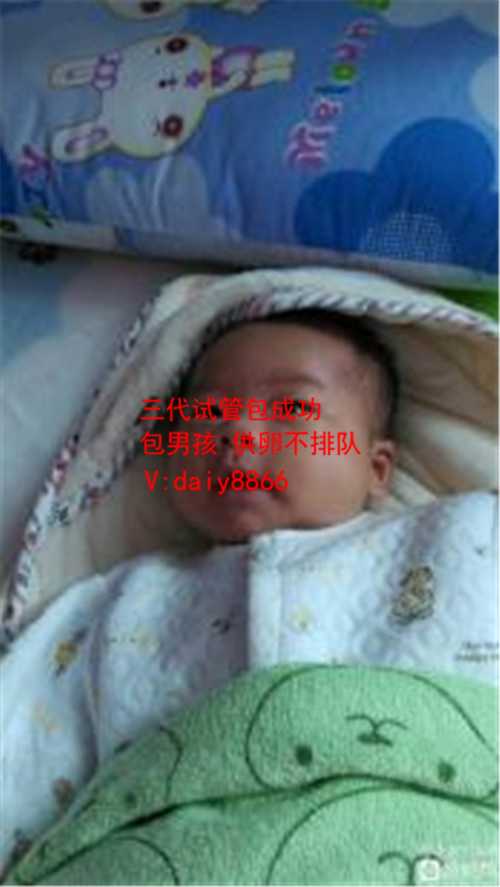卵巢早衰怎样才能怀孕_我想在深圳找个代妈_试管婴儿鲜胚的成功率_试管婴儿鲜
