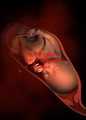 那里能找到代孕妇_弱精怎么做试管_试管婴儿为什么建议囊胚培养？