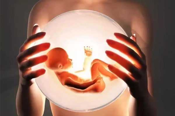 沾化县51岁供卵试管成功率_试管婴儿预防胎停育的注意事项有哪些？