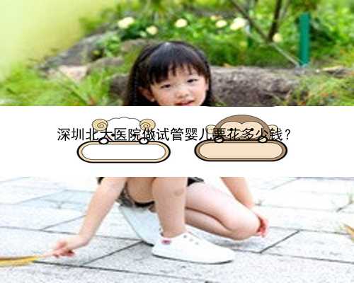 <b>深圳北大医院做试管婴儿要花多少钱？</b>