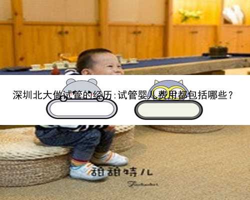 深圳北大做试管的经历:试管婴儿费用都包括哪些？