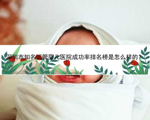 深圳市知名试管婴儿医院成功率排名榜是怎么样的？